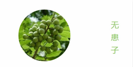 NewNewDIY|敏感肌如何選洗面奶？皮膚科醫生推薦這款！