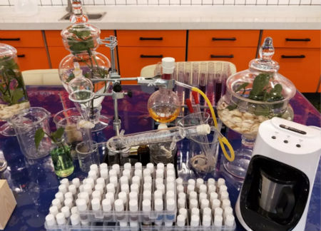 圣誕節，來NEWNEW智能光電美膚館給心愛的人驚喜吧