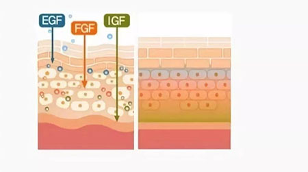 敏感肌不能化妝？良心推薦這款修復(fù)遮瑕霜！