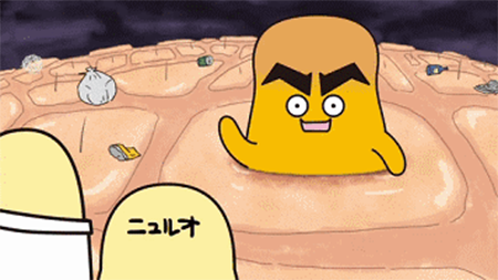 黑頭總是去不掉？這可能是比較全比較有效的去黑頭指南了！