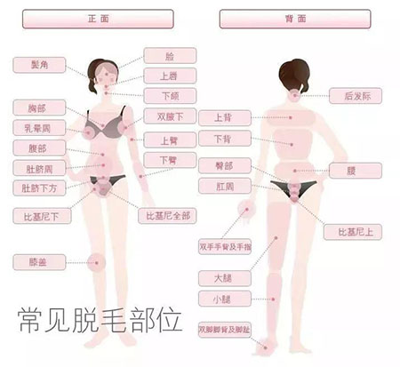 春季不脫毛，夏季獼猴桃！現(xiàn)在是脫毛的 佳時機~