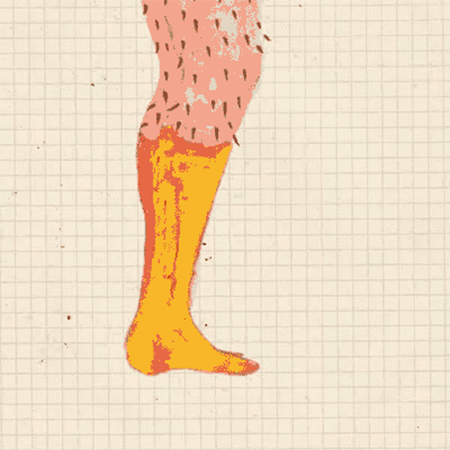 春季不脫毛，夏季獼猴桃！現(xiàn)在是脫毛的 佳時機~