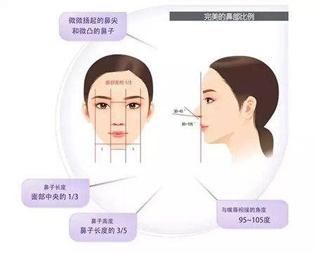 鼻綜合—點亮五官的魅力,拯救你的回頭率!