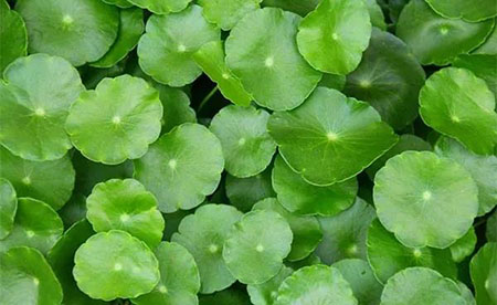 敏感肌們,你離變美就差這瓶精華液啦!