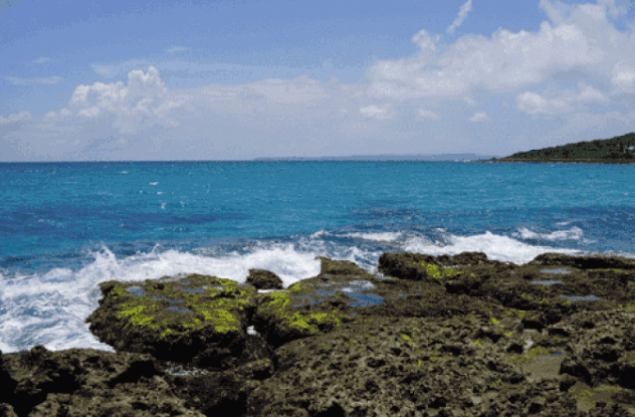 腳尖掀起美甲新潮流，女王出巡簡直亮瞎你的眼