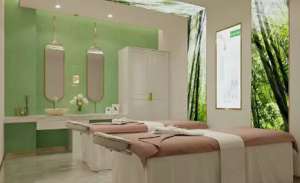 VN智能光電美膚館：高科技美膚項目優勢明顯！