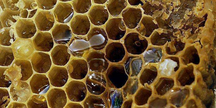 想讓精華效果翻多倍？做對這三點就OK！